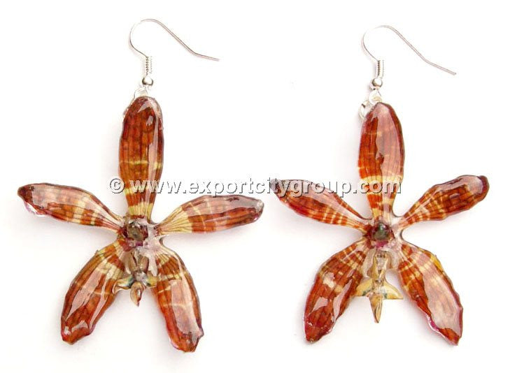 Staurochilus Fasciatus Bengal Tiger Orchid Jewelry Earring (Brown)