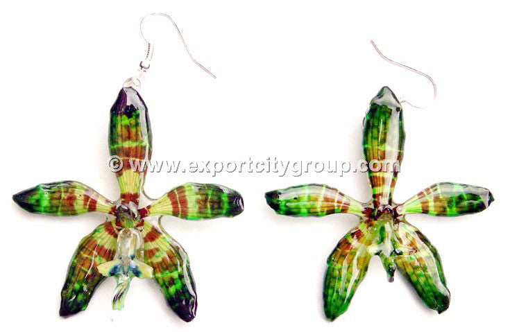 Staurochilus Fasciatus Bengal Tiger Orchid Jewelry Earring (Green)