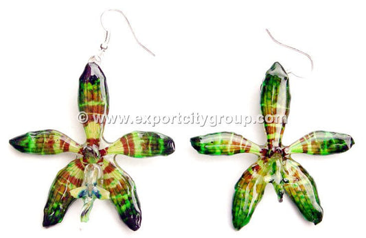 Staurochilus Fasciatus Bengal Tiger Orchid Jewelry Earring (Green)