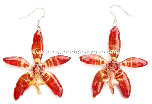 Staurochilus Fasciatus Bengal Tiger Orchid Jewelry Earring (Red)