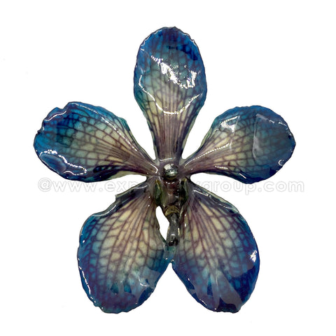 Mokara Orchid Jewelry Pendant (Navy)