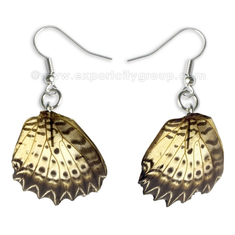 Real Butterfly Wings Jewelry Earring - Lacewing natural