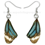 Real Butterfly Wings Jewelry Earring - Monarch blue