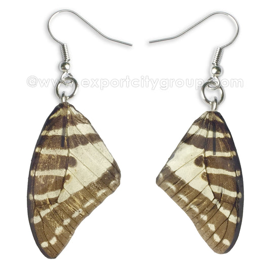 Real Butterfly Wings Jewelry Earring - Graphium natural