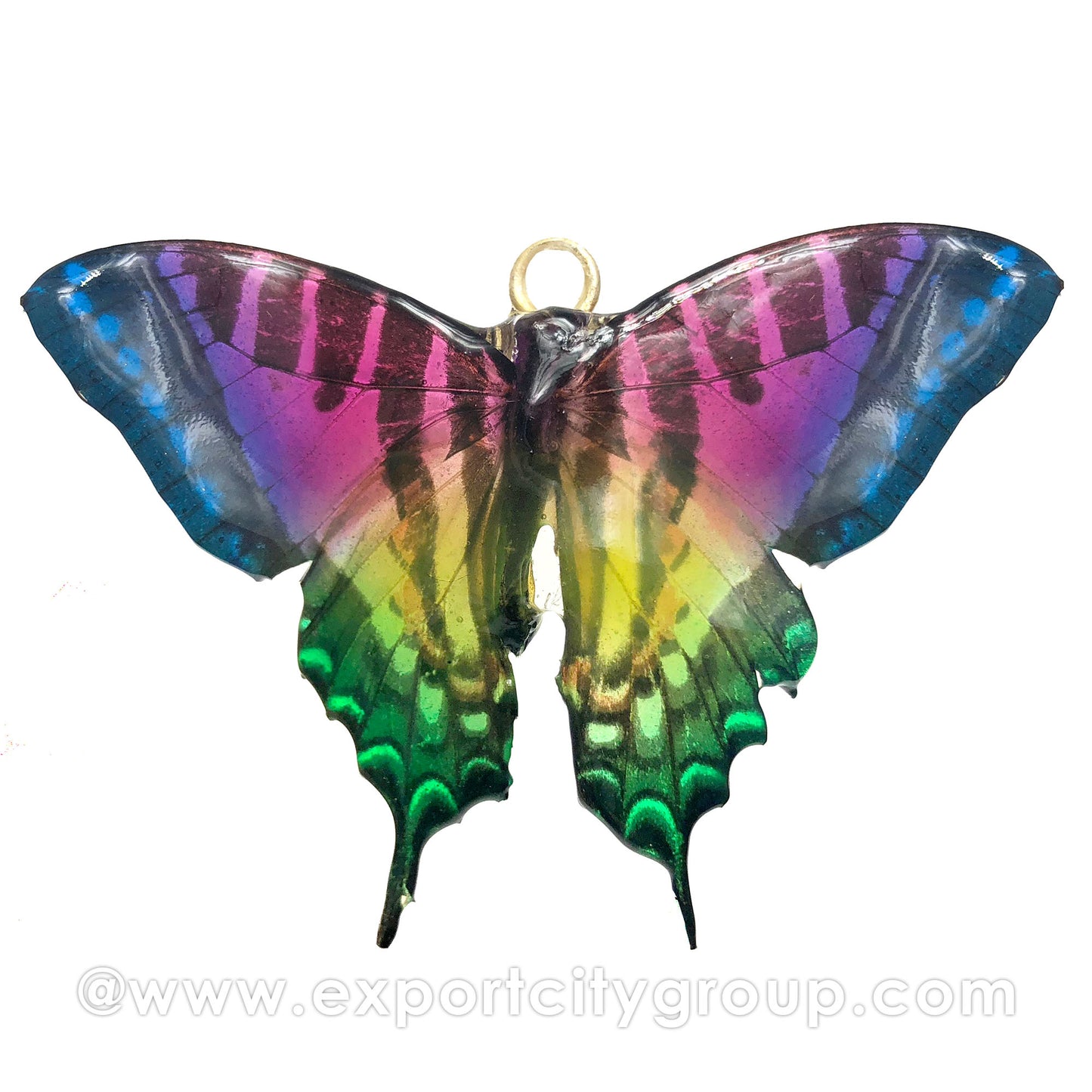 Real Butterfly Jewelry Pendant (BTF-009)