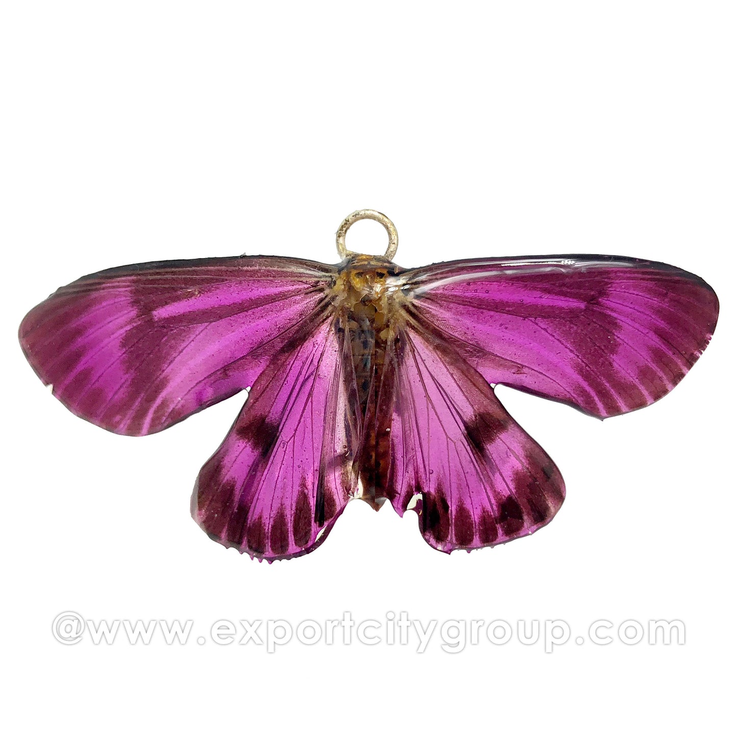 Real Butterfly Jewelry Pendant (BTF-011)