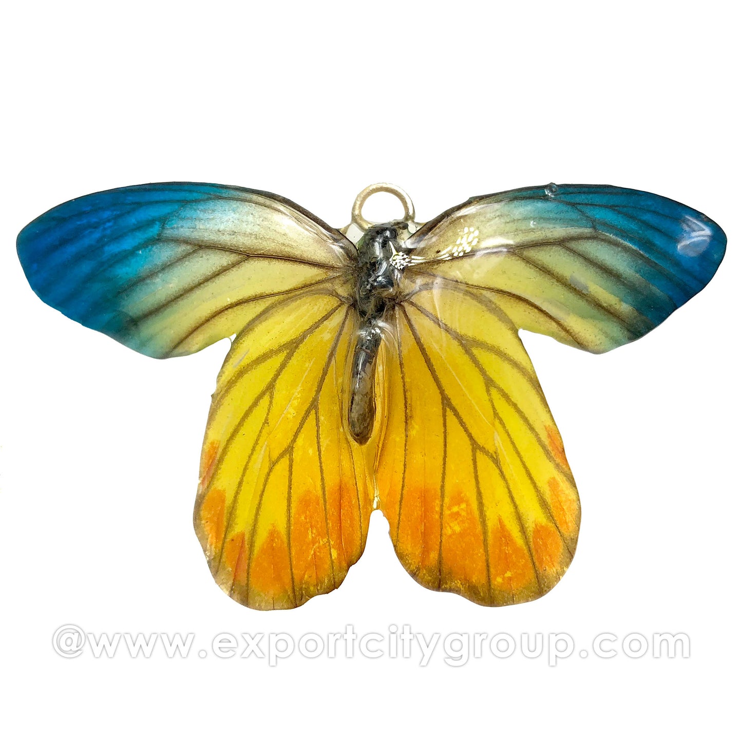 Real Butterfly Jewelry Pendant (BTF-013)