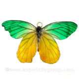 Real Butterfly Jewelry Pendant (BTF-013)