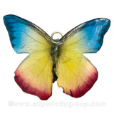 Real Butterfly Jewelry Pendant (BTF-008)