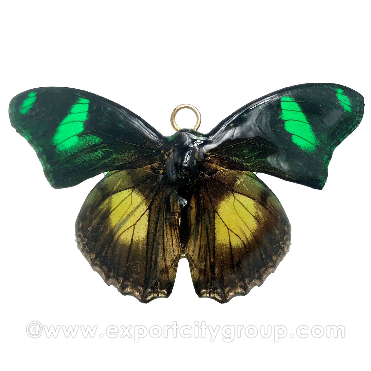 Real Butterfly Jewelry Pendant (BTF-007)