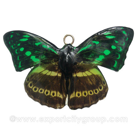 Real Butterfly Jewelry Pendant (BTF-006)