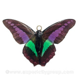 Real Butterfly Jewelry Pendant (BTF-004)