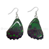Real Butterfly Wings Jewelry Earring - WG02 Dyed Green