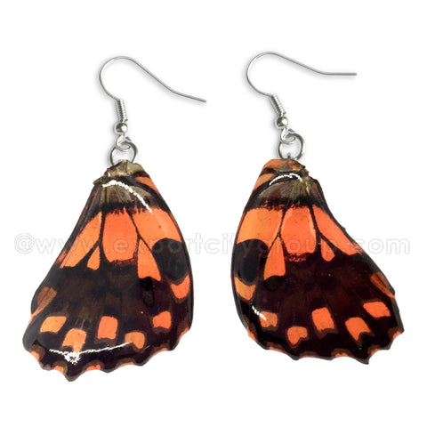 Real Butterfly Wings Jewelry Earring - WG02 Dyed Orange