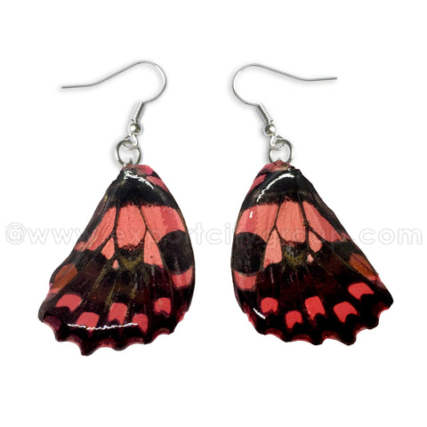 Real Butterfly Wings Jewelry Earring - WG02 Dyed Pink