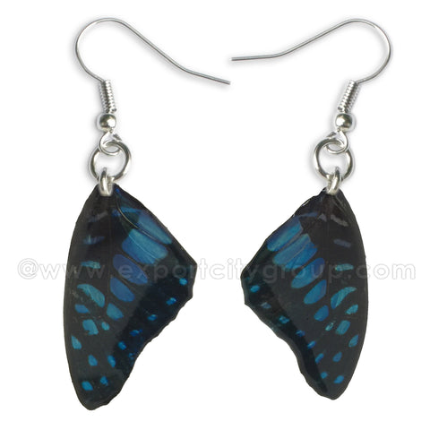 Real Butterfly Wings Jewelry Earring - WG01 Dyed Blue