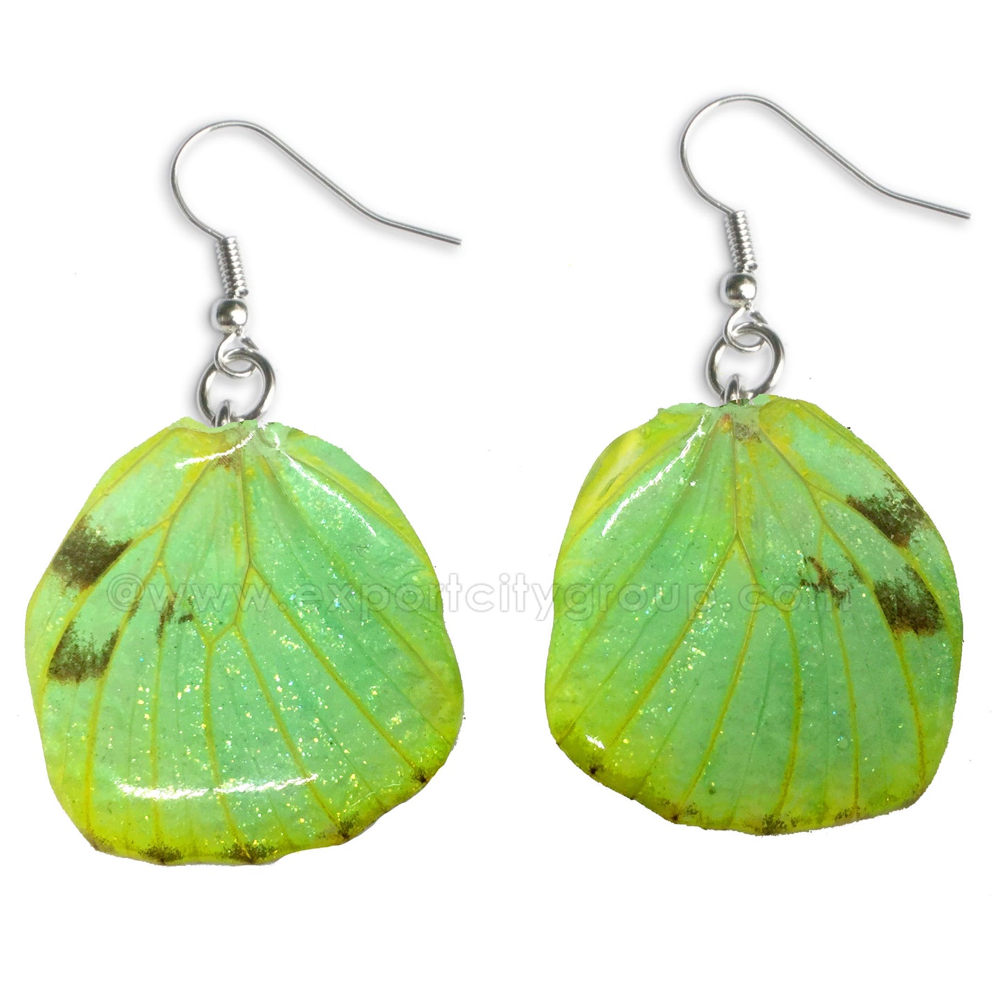 Real Butterfly Wings Jewelry Earring - WG04 Dyed Green
