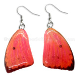 Real Butterfly Wings Jewelry Earring - WG05 Dyed Pink