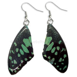 Real Butterfly Wings Jewelry Earring - WG01 Dyed Light Green