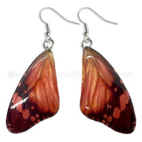 Real Butterfly Wings Jewelry Earring - WG06 Dyed Red