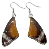 Real Butterfly Wings Jewelry Earring - WG06 Natural