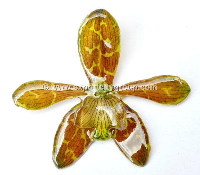 Tiger CAT Tiger Orchid Jewelry Pendant (Yellow)