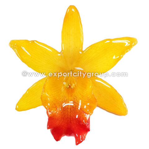Cattleya QUEEN Medium Orchid Jewelry Pendant (Yellow)