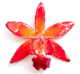 Cattleya QUEEN Medium Orchid Jewelry Pendant (Orange)