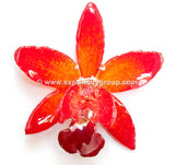 Cattleya QUEEN Medium Orchid Jewelry Pendant (Orange)