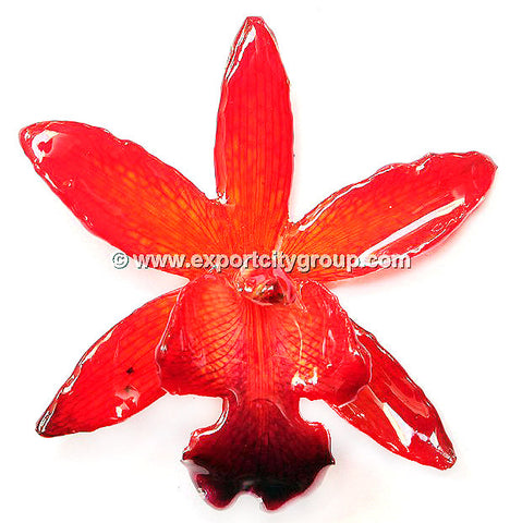 Cattleya QUEEN Medium Orchid Jewelry Pendant (Red)