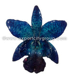 Cattleya Sakura Medium Orchid Jewelry Pendant (Navy)