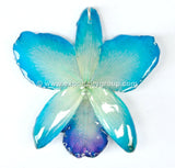 Cattleya Sakura Medium Orchid Jewelry Pendant (Navy)