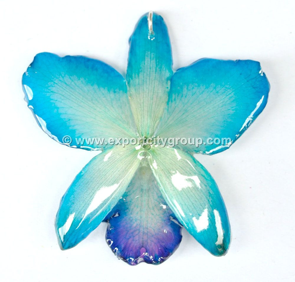 Cattleya Sakura Medium Orchid Jewelry Pendant (Purple 2 Tone)