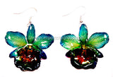 Chrysotoxum "Dendrobium" Orchid Jewelry Earring (Blue Turquoise)