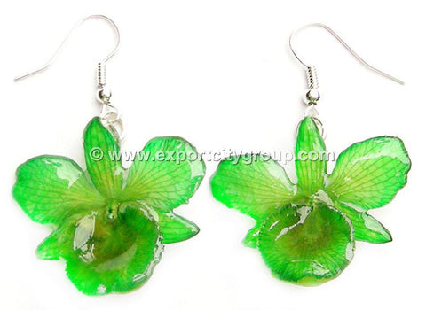 Chrysotoxum "Dendrobium" Orchid Jewelry Earring (Green)