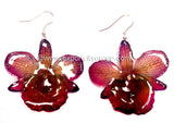 Chrysotoxum "Dendrobium" Orchid Jewelry Earring (Dark Purple)