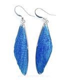 Real Cicadas Insect Wings Earring (Navy)