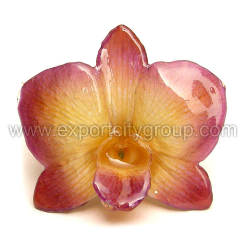 Diamond "Dendrobium" Orchid Jewelry pendant (Yellow 2 Tone)