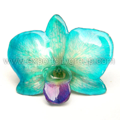 Diamond "Dendrobium" Orchid Jewelry pendant (Blue)