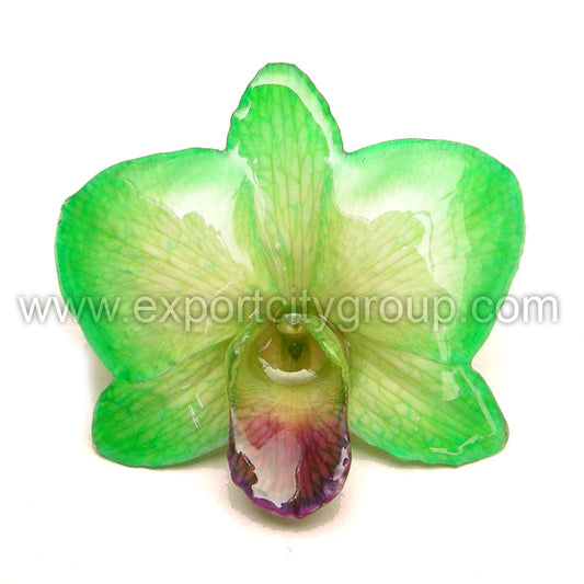 Diamond "Dendrobium" Orchid Jewelry pendant (Light Green)