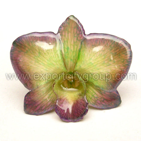 Diamond "Dendrobium" Orchid Jewelry pendant (Green Purple)