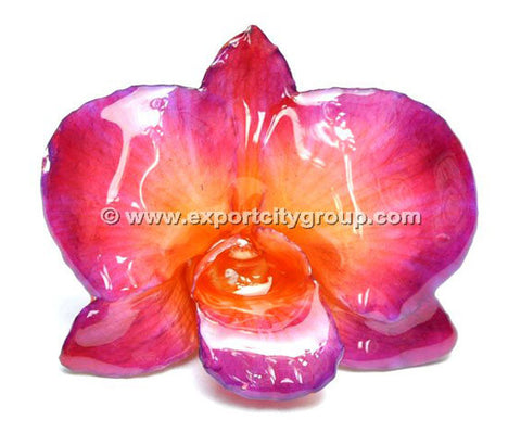 Diamond "Dendrobium" Orchid Jewelry pendant (Hot Pink)
