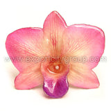 Diamond "Dendrobium" Orchid Jewelry pendant (Light Pink)