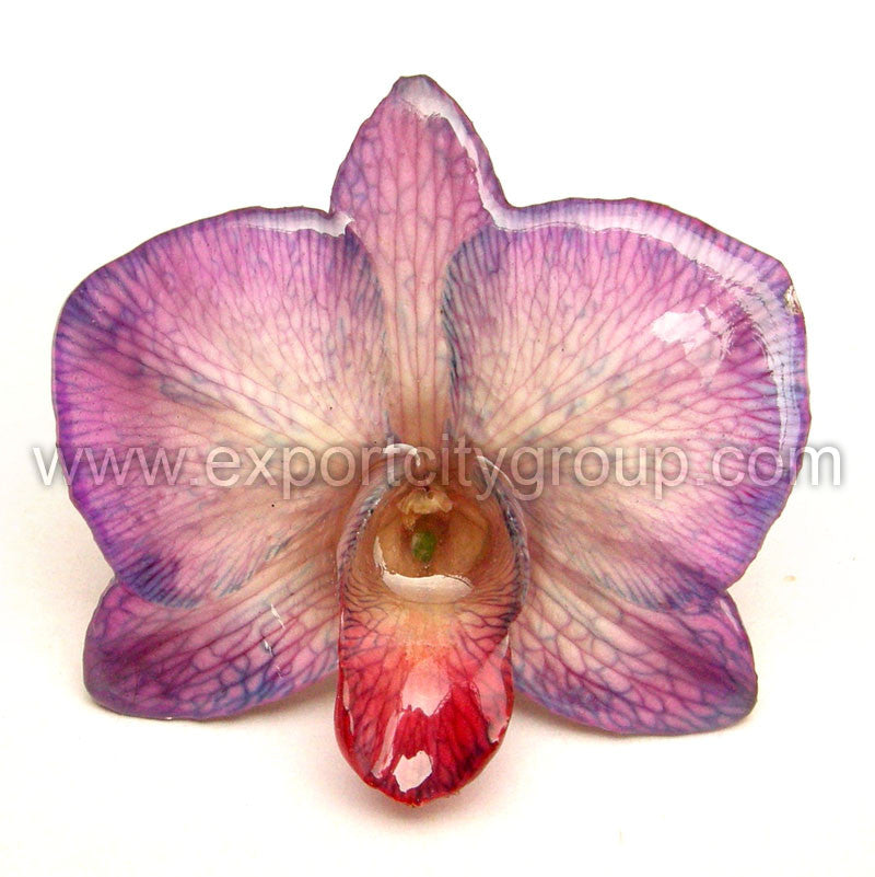 Diamond "Dendrobium" Orchid Jewelry pendant (Purple Tinted)