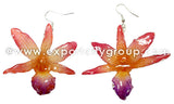 Draconis "Dendrobium" Orchid Earring (Red)