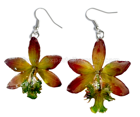 Epidendrum Orchid Jewelry Earring (Purple Green)