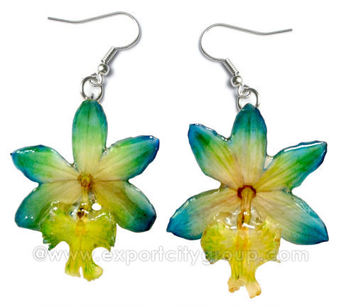 Epidendrum Orchid Jewelry Earring (Yellow Green Turquoise)