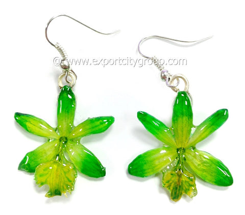 Epidendrum Orchid Jewelry Earring (Green)