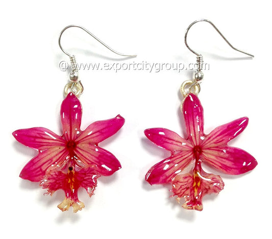 Epidendrum Orchid Jewelry Earring (Pink)