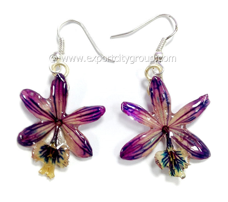 Epidendrum Orchid Jewelry Earring (Purple)